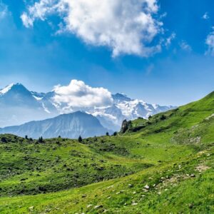 Soil illustration representing the Earth element in yang